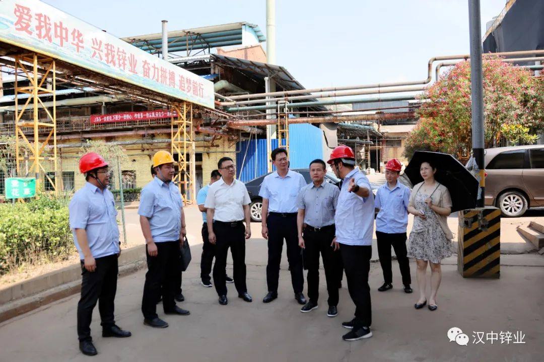 省工信厅调研组到汉中锌业公司调研