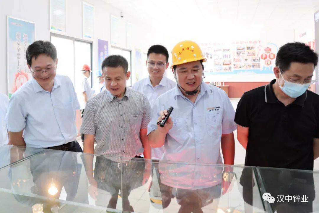 省工信厅调研组到汉中锌业公司调研