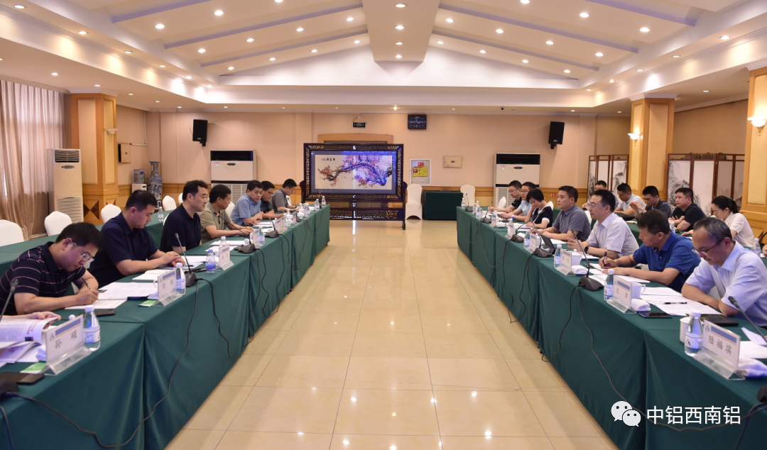 人社部調解仲裁司副司長王志強調研九龍坡區人力社保工作座談會在西南鋁召開