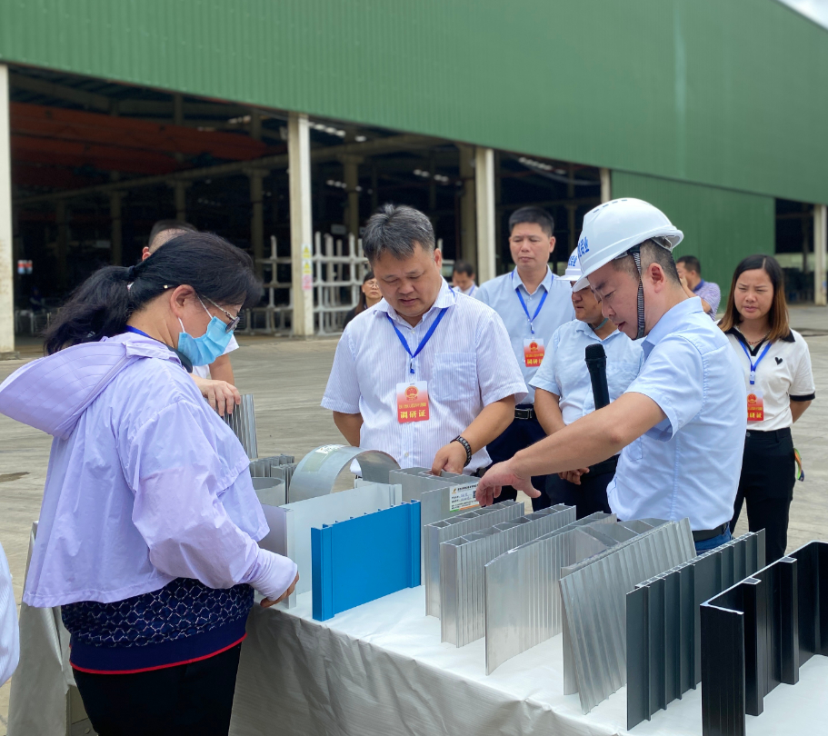 驻桂部分全国人大代表和自治区人大代表调研组莅临彩虹铝业开展专题调研活动