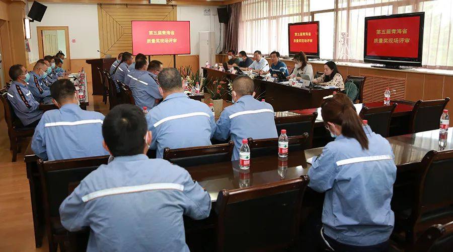 青海省质量奖评审专家组到中铝青海分公司开展现场评审
