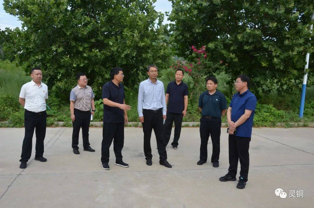 灵宝市委副书记、市长宋速快到金源朝辉公司调研二期项目建设情况