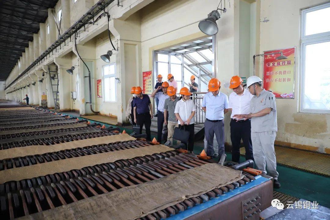 副州长张珺一行到云锡铜业分公司调研