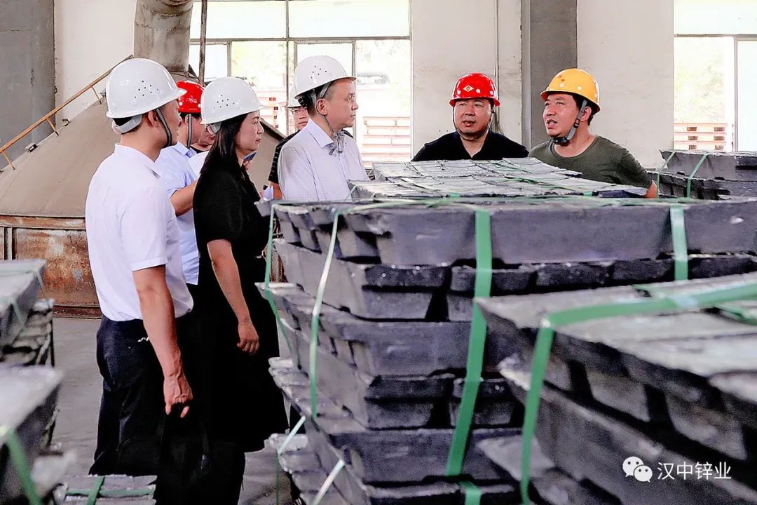 市经合局调研组来汉中锌业公司调研重点项目运行情况
