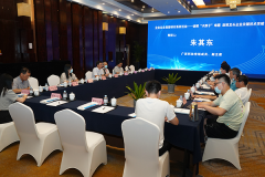 中国有色金属学会副理事长桂卫华院士与广西柳钢东信科技有限公司对接项目合作