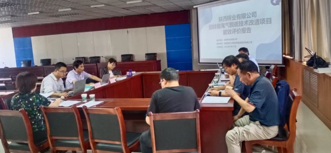 陕西锌业公司两个项目能效评价通过专家评审
