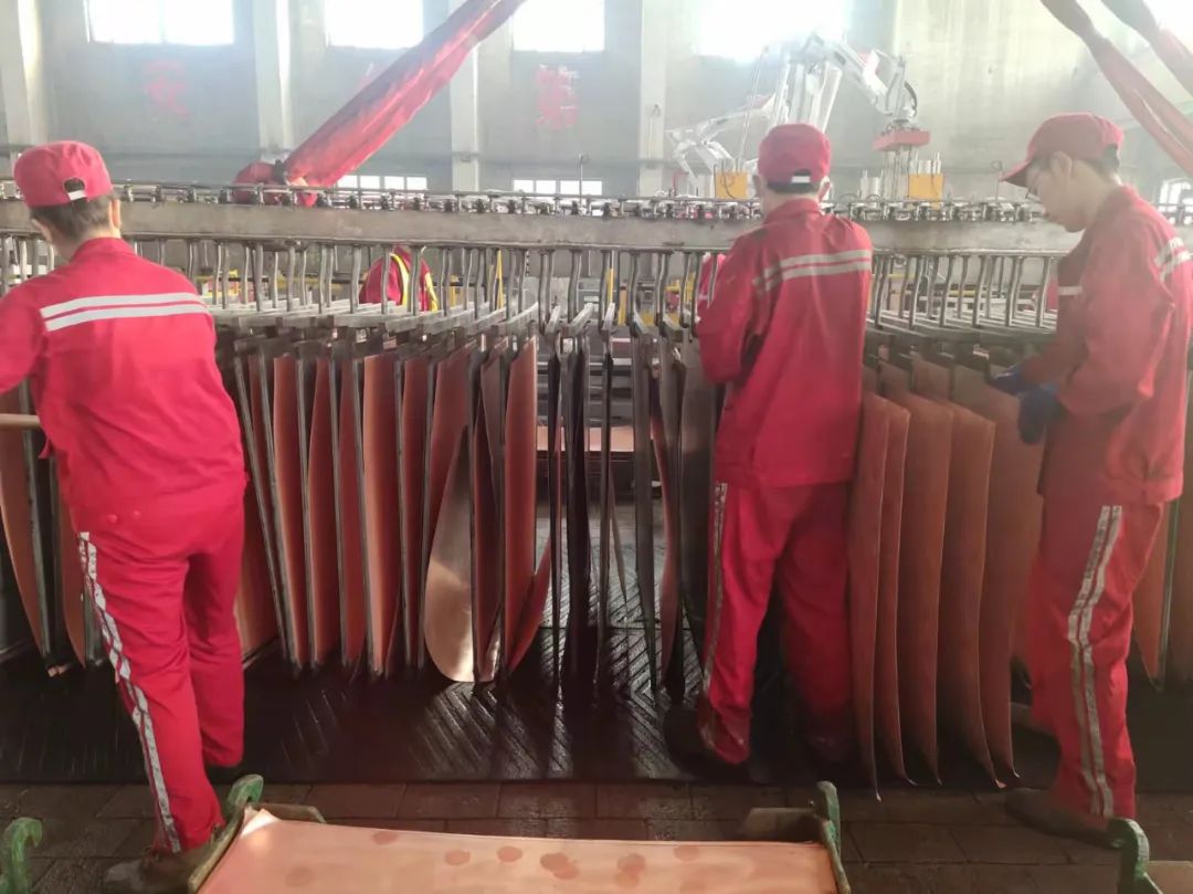 新疆五鑫铜业电解厂“三化”建设行稳致远