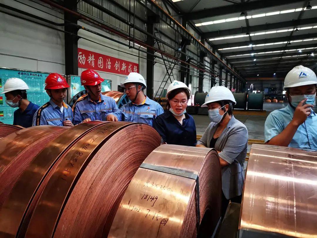 中南大学、西安理工大学、中国铜业工程技术研究院到昆明铜业指导交流