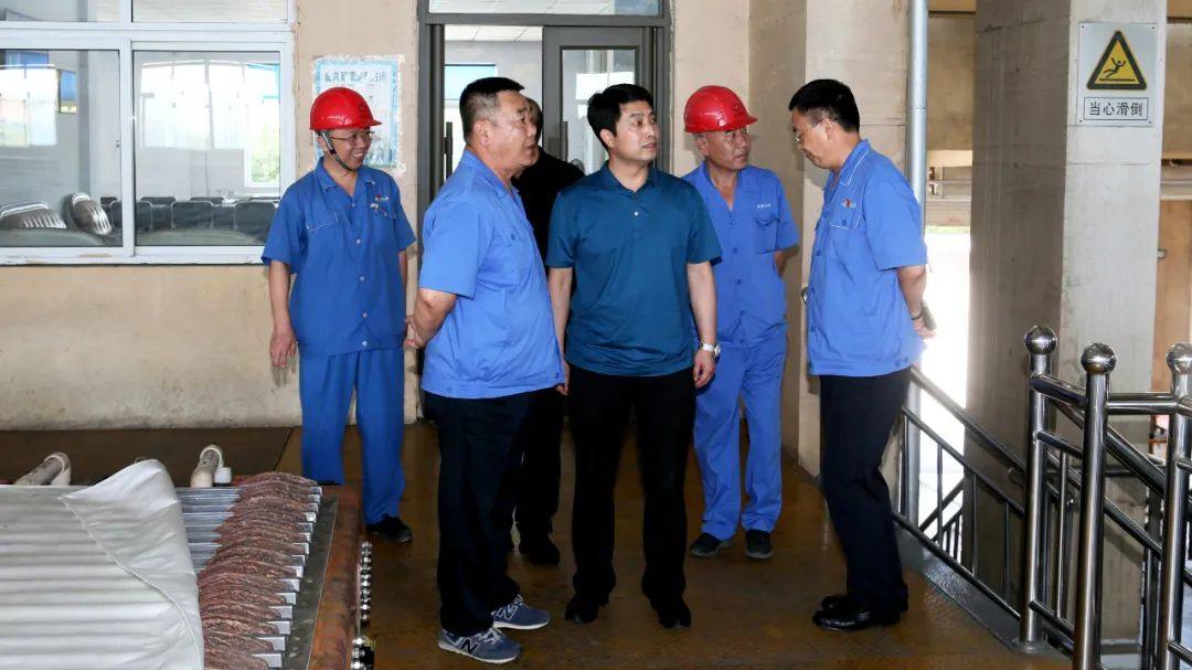 于洪董事长陪同来宾到葫芦岛有色实地参观