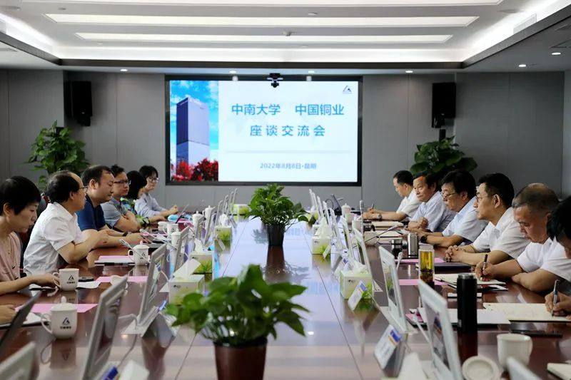 中国工程院院士柴立元率队到中国铜业开展“国重”申报工作