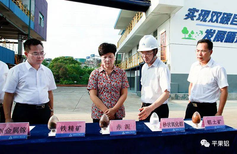 广西壮族自治区党委常委、自治区常务副主席蔡丽新到中铝平果铝企业调研