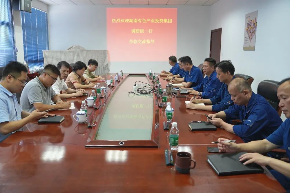 湖南有色产业投资集团调研组一行到江铜铅锌公司调研