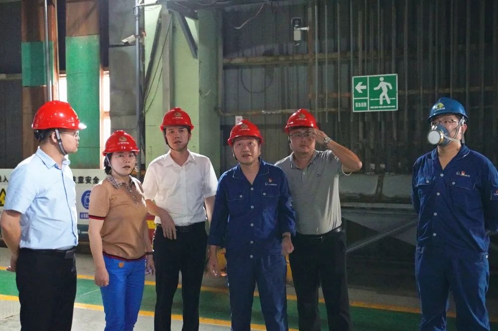 湖南有色产业投资集团调研组一行到江铜铅锌公司调研