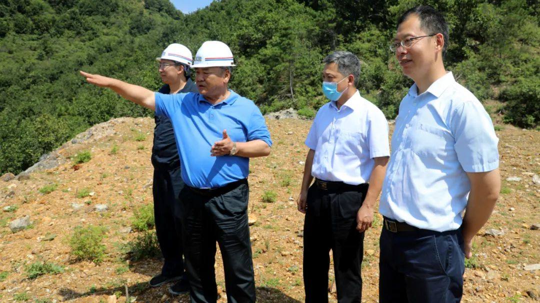 市委常委、副市长李延超到八家矿业调研