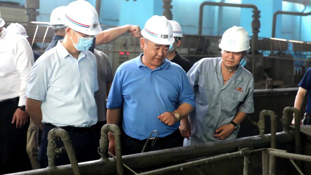 市委常委、副市长李延超到八家矿业调研