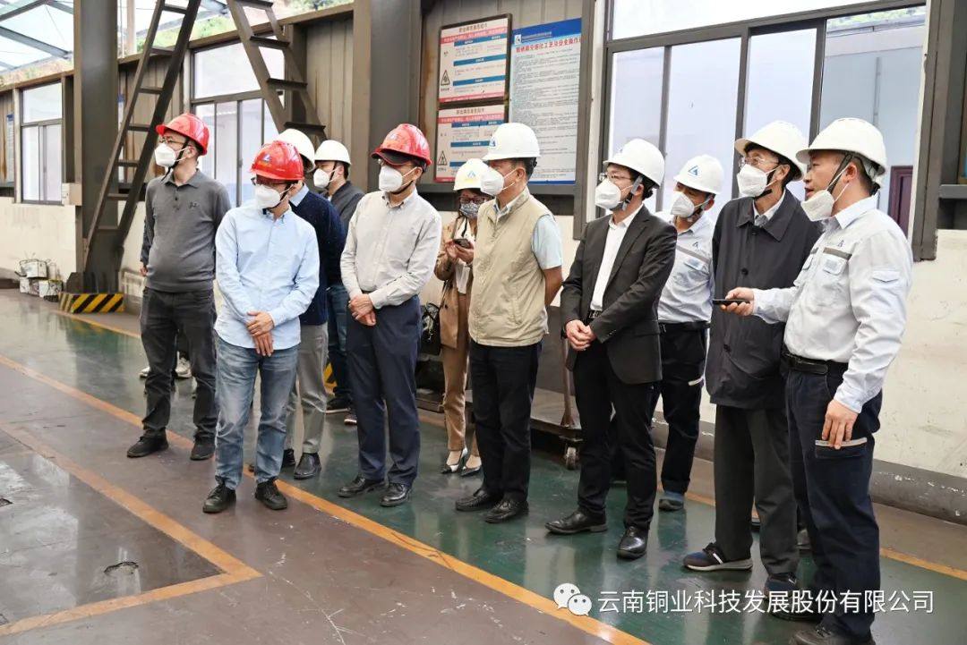 云铜科技《铜冶炼硒渣高效回收技术开发及产业化应用》项目顺利通过验收