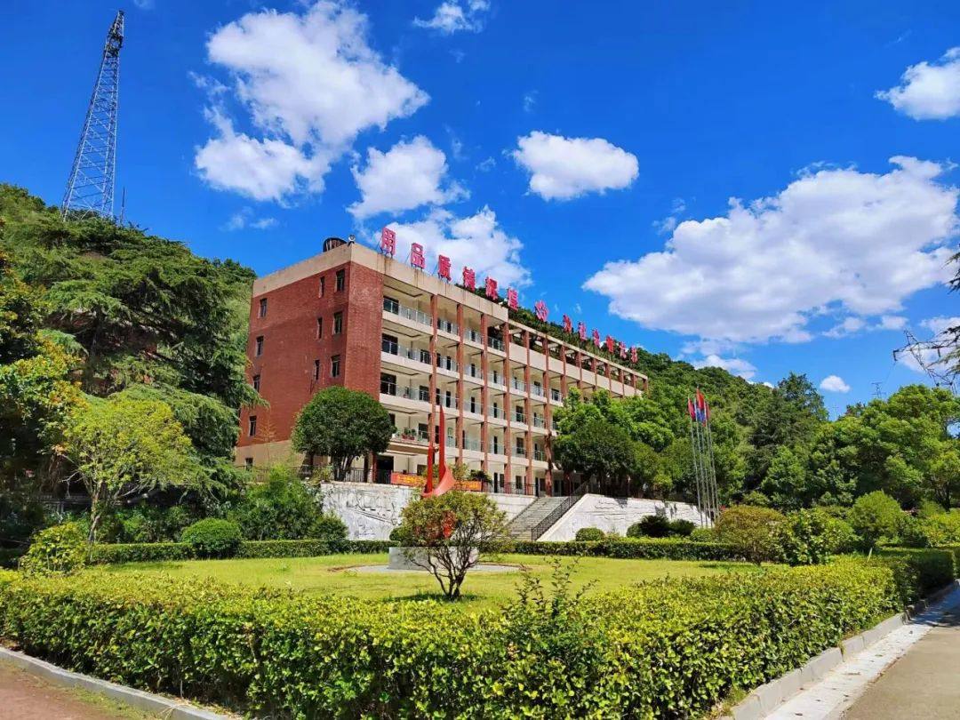 中色大冶丰山铜矿绿色高质量发展侧记