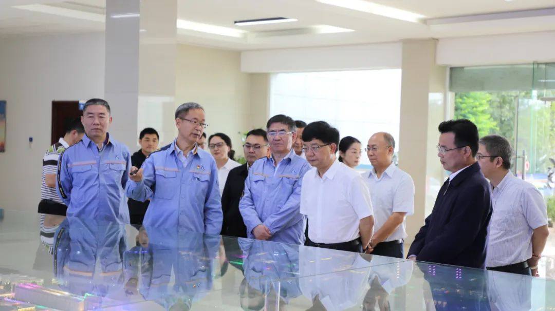 云南省副省长杨斌到云铝文山铝业调研