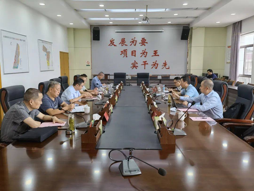 中国有色金属加工工业协会到安徽省枞阳县调研