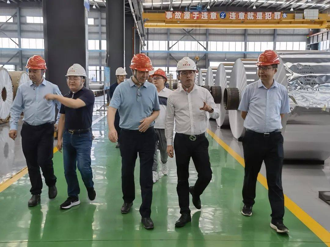 中国有色金属加工工业协会到安徽省枞阳县调研