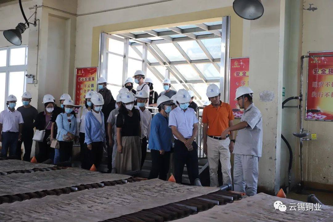 红河州政协委员一行到云锡铜业分公司参观视察