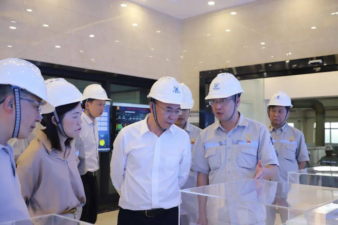 孙勇到云锡铜业分公司调研