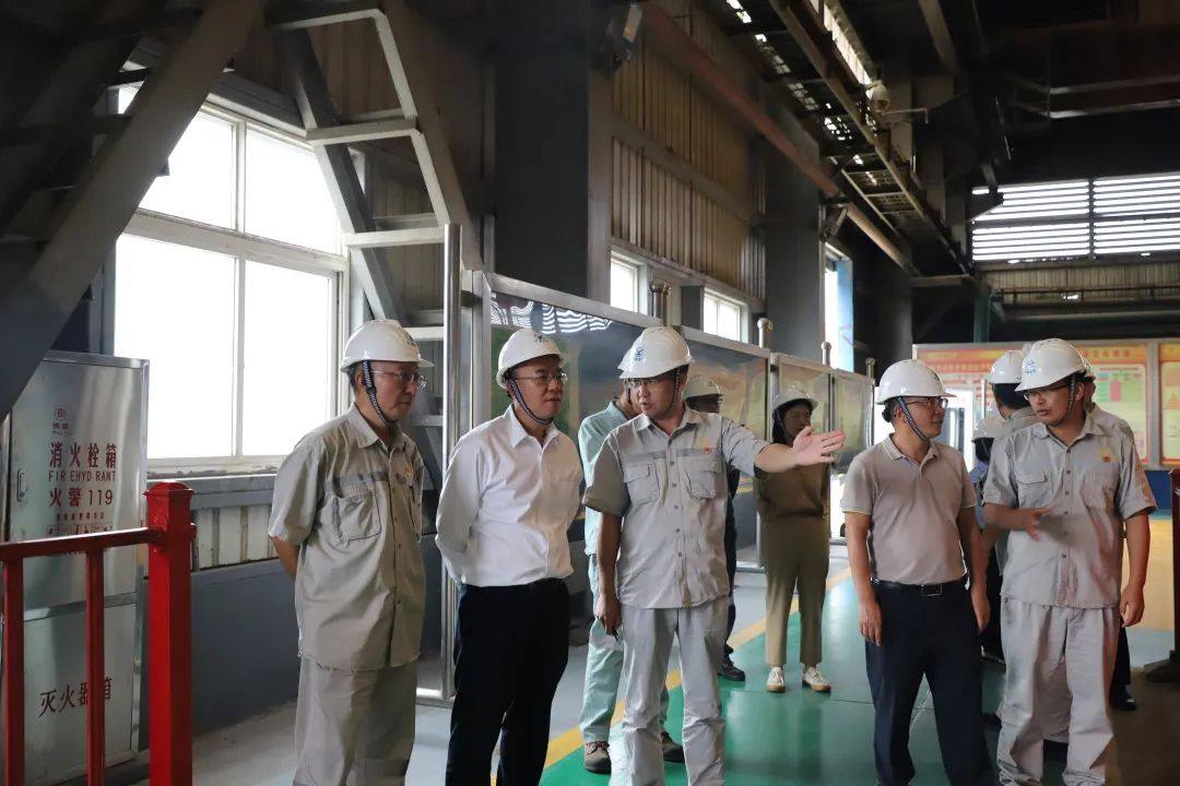 孙勇到云锡铜业分公司调研