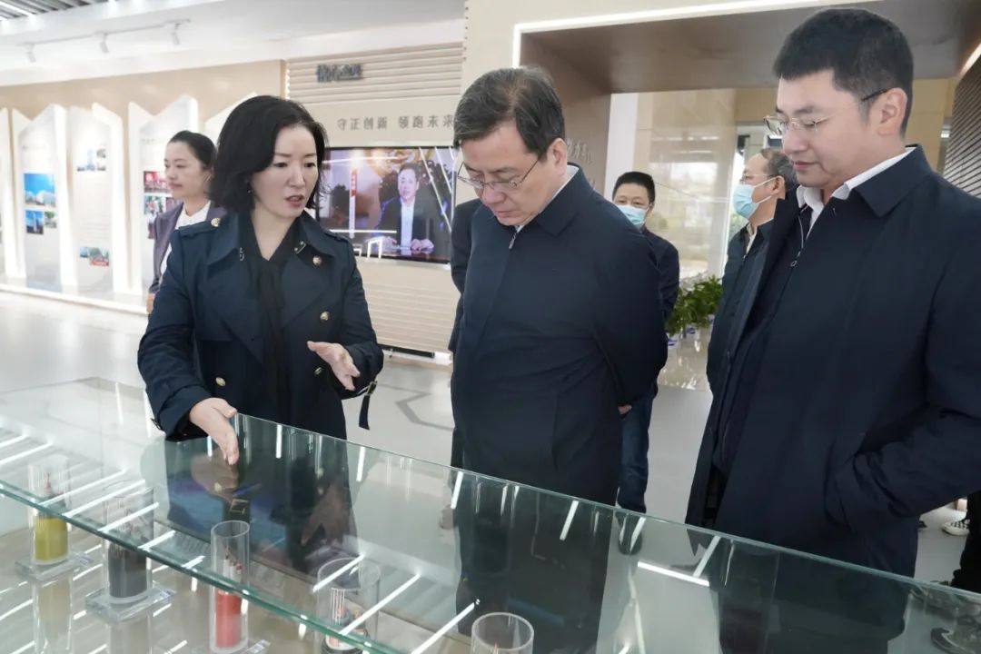 湖南省工商联主席张健一行莅临金龙集团视察开展风险隐患排查工作