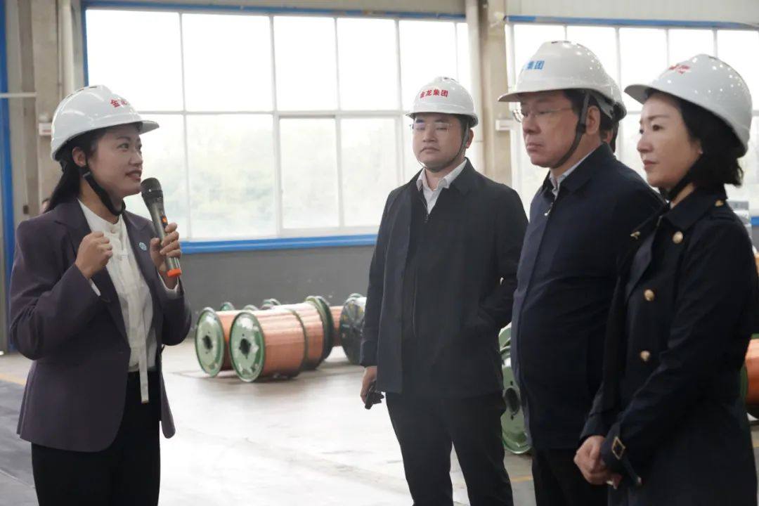 湖南省工商联主席张健一行莅临金龙集团视察开展风险隐患排查工作