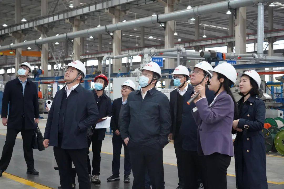 湖南省工商联主席张健一行莅临金龙集团视察开展风险隐患排查工作