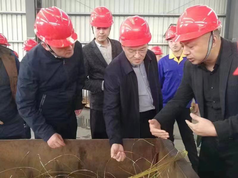 芜湖市副市长蔡毅一行莅临楚江新材调研