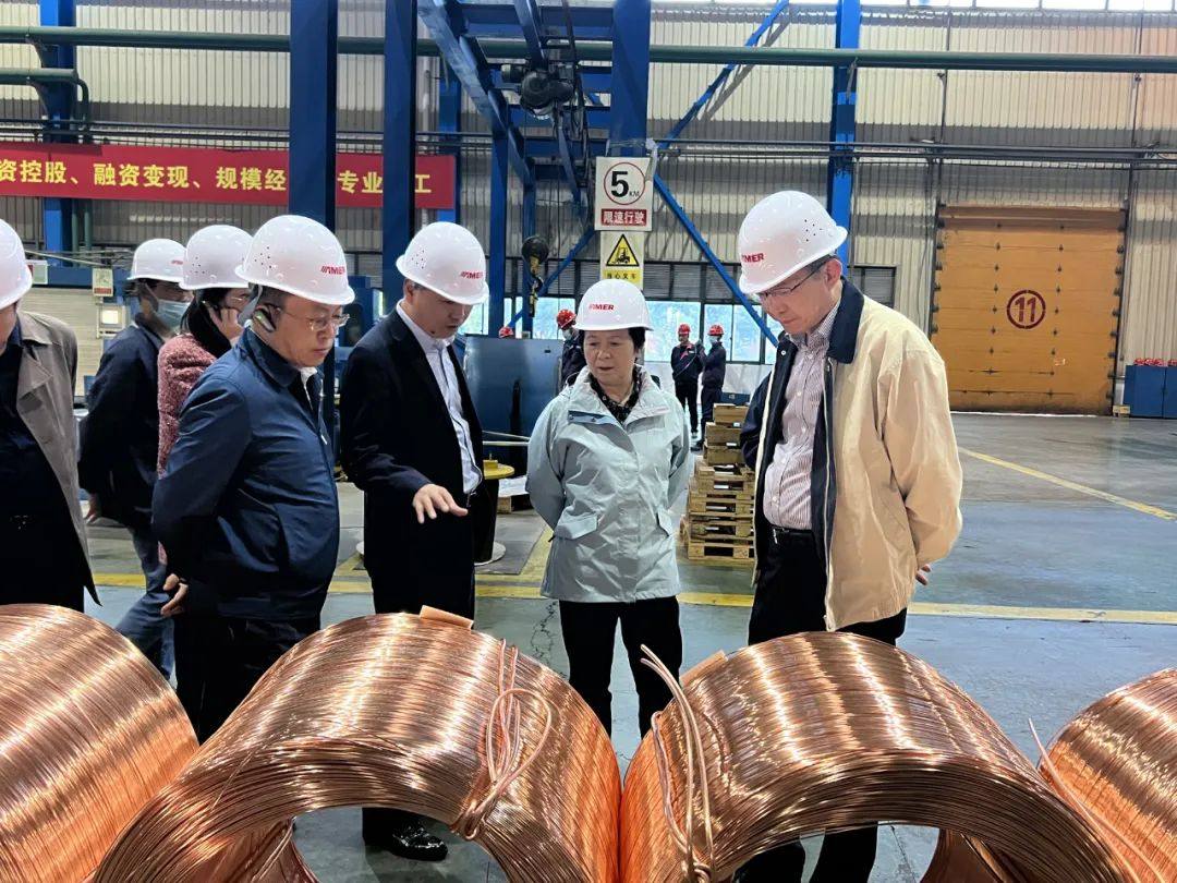 安徽省政协主席孙丽芳一行莅临全威铜陵铜业参观考察