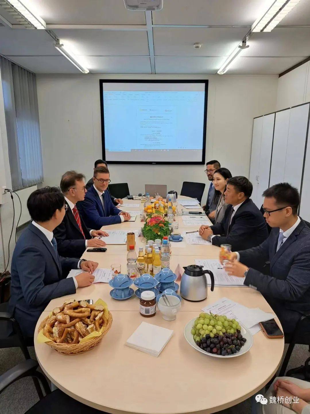 魏桥创业张波董事长赴德国斯图加特访问