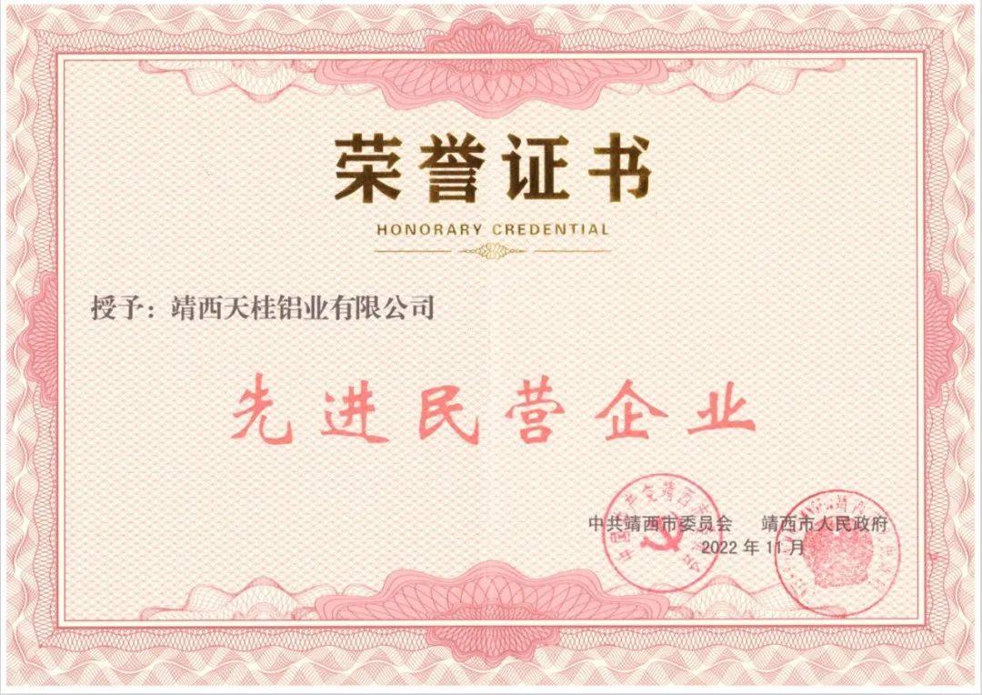 天桂铝业荣获靖西市“先进民营企业”等荣誉称号