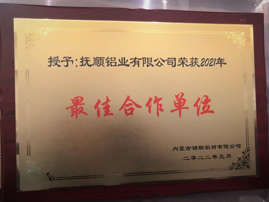 铝用炭素分会陈维胜秘书长一行拜访抚顺铝业有限公司