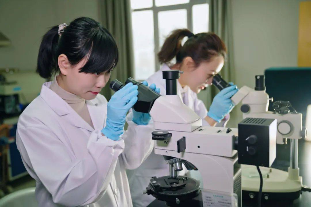 西部矿业股份有限公司获评“国家知识产权优势企业”