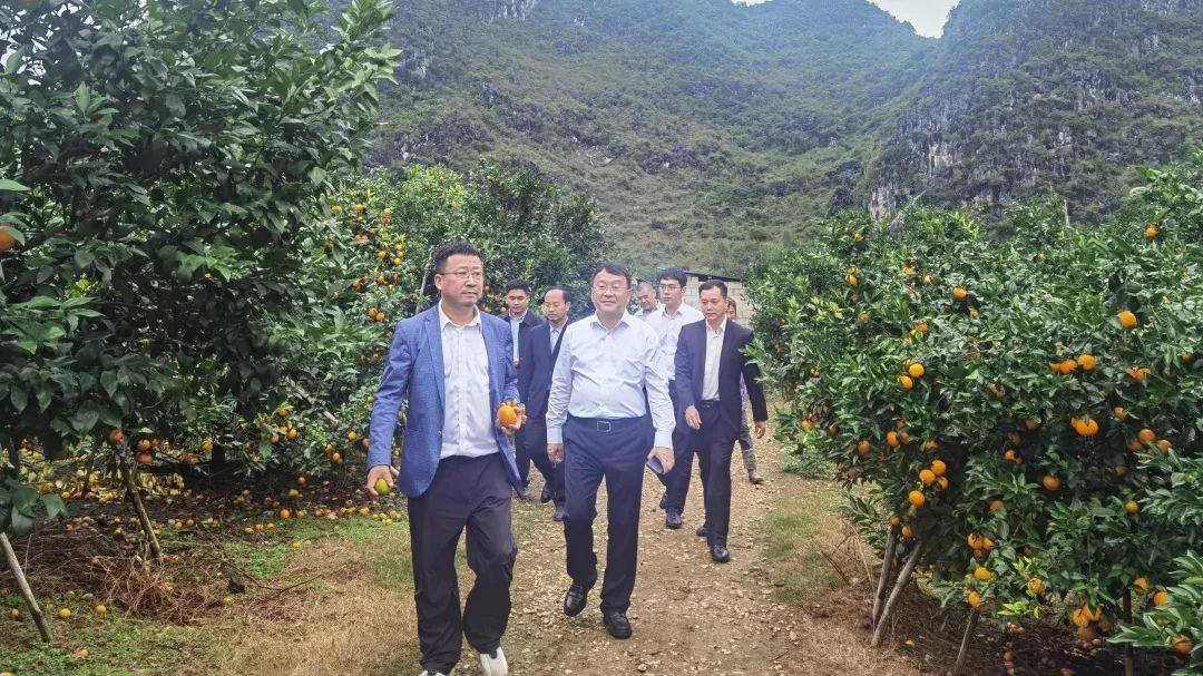 海亮集团与广西崇左市签署战略合作协议