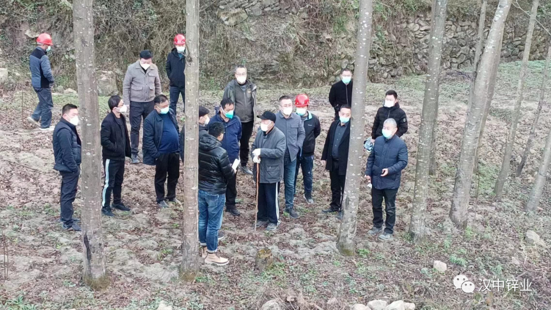 汉中锌业铜矿公司火地沟尾矿库闭库销号项目通过现场验收和复核