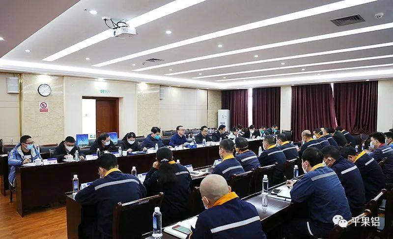 广西华磊新材料通过自治区级健康企业现场评审