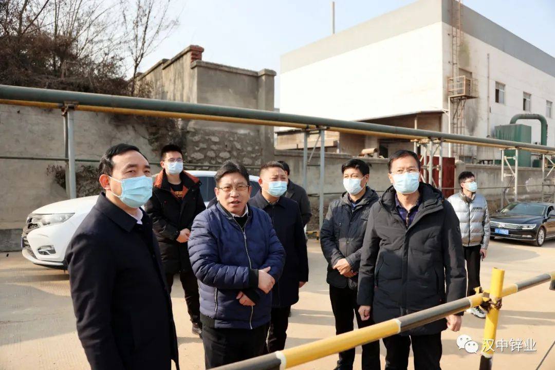 勉縣縣委副書記縣長羅國才督導檢查漢中鋅業公司重點項目建設