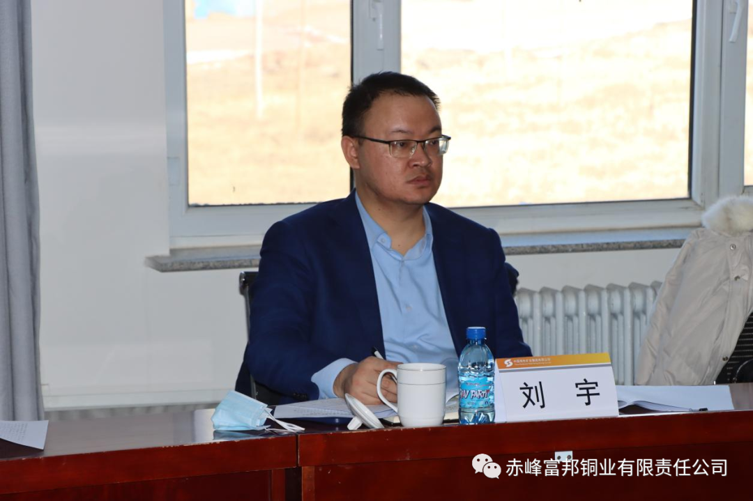 集团公司副总经理刘宇一行莅临富邦铜业督查工作