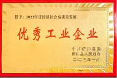 龙鼎铝业荣获“伊川县2022年度经济社会高质量发展企业创优创新奖”