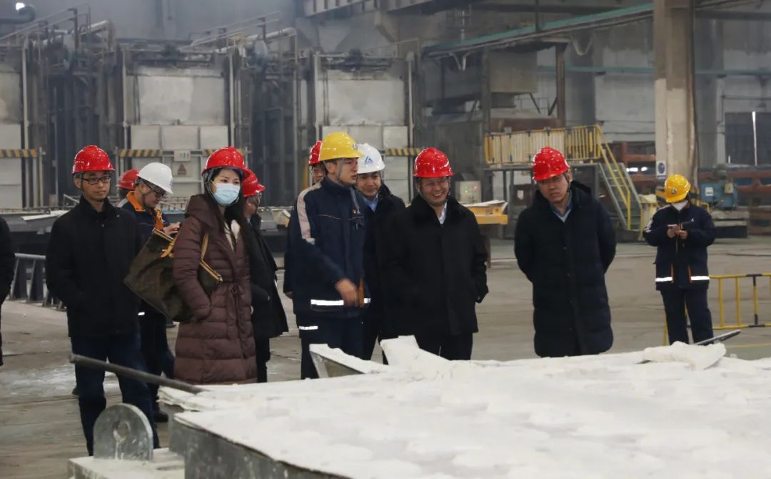 中国有色金属工业协会专家到中铝山西新材料调研