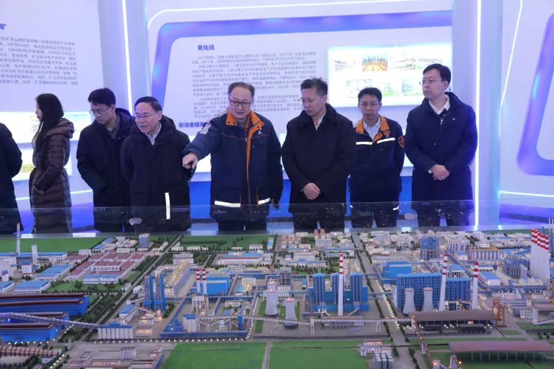 中国有色金属工业协会专家到中铝山西新材料调研