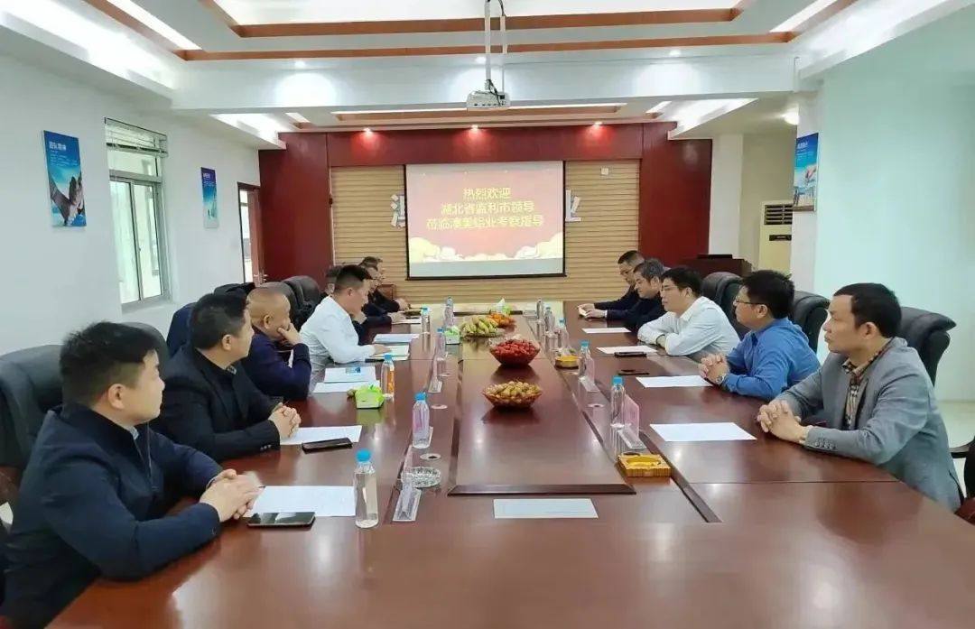 荆州市副市长、监利市委书记韩旭一行莅临澳美铝业调研指导