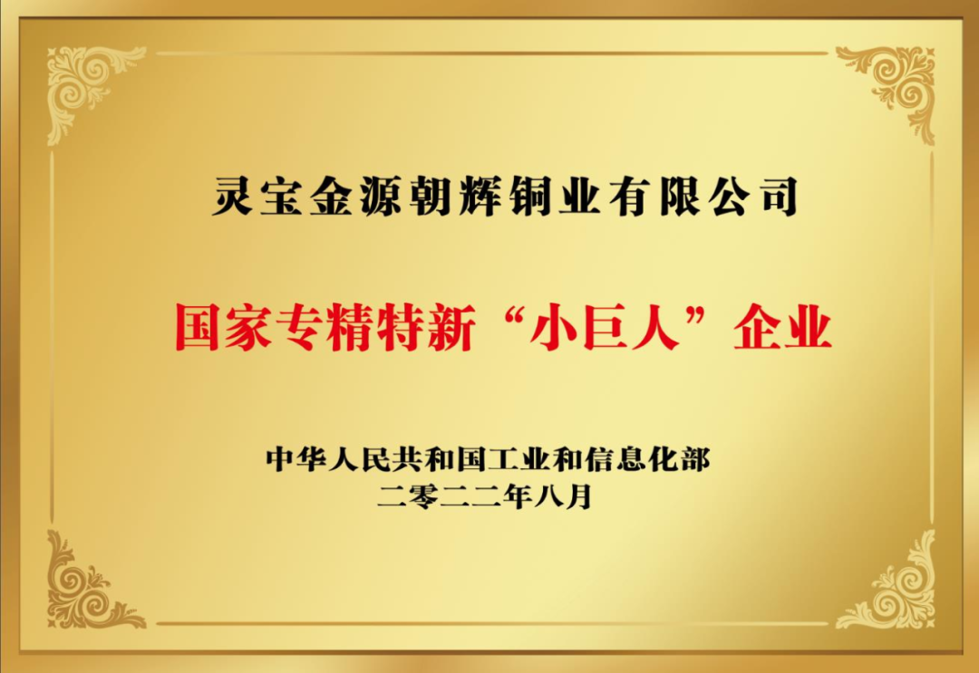 朝辉公司“国家专精特新‘小巨人’”企业受表彰