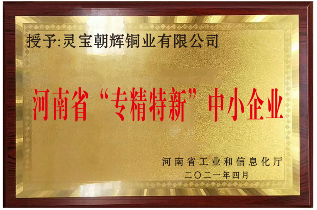 朝辉公司“国家专精特新‘小巨人’”企业受表彰