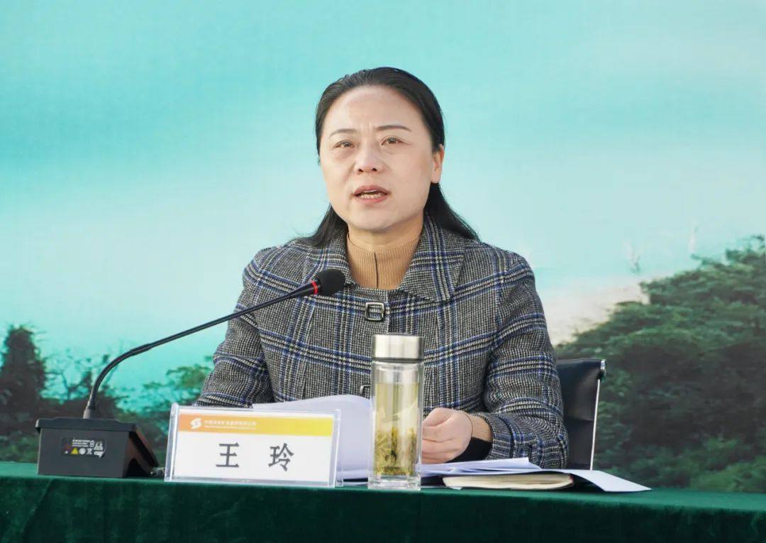 中國有色集團在豐山銅礦尾礦庫召開中央生態環境保護督察問題整改現場推進會