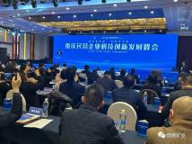 博赛集团入围重庆民营企业科技创新指数100强和研发投入50强