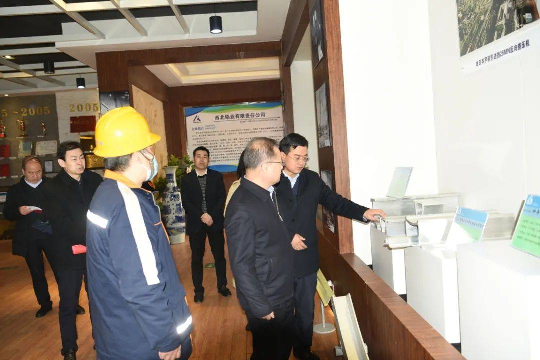 省、市、县统计局领导来西北铝调研生产经营情况
